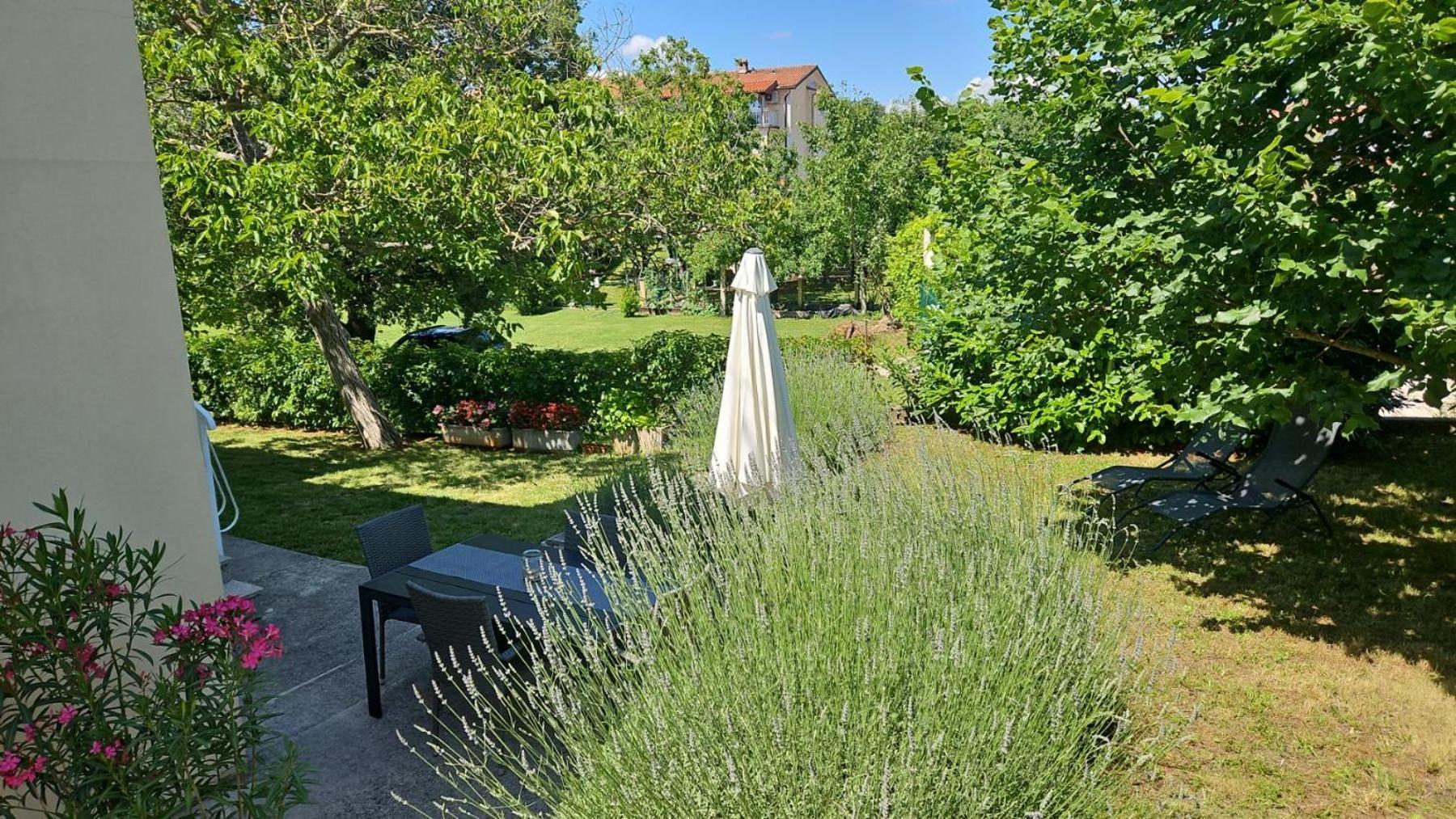 Gianna Apartment Labin لابين المظهر الخارجي الصورة
