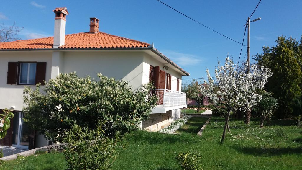 Gianna Apartment Labin لابين المظهر الخارجي الصورة